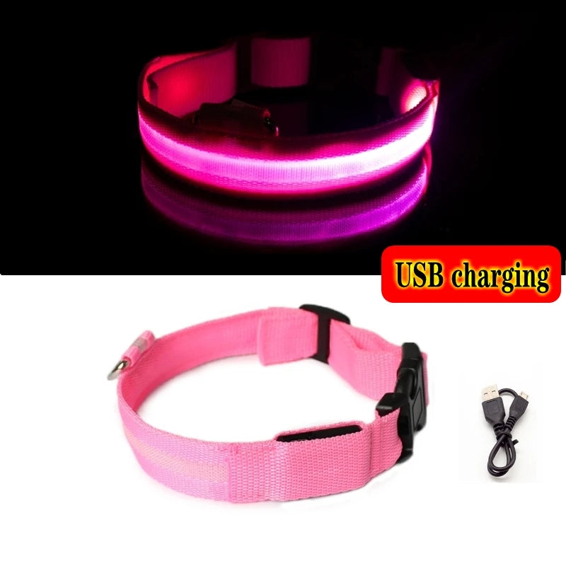 Led Hundehalsband