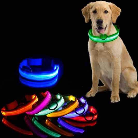 Led Hundehalsband