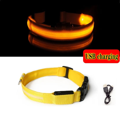 Led Hundehalsband