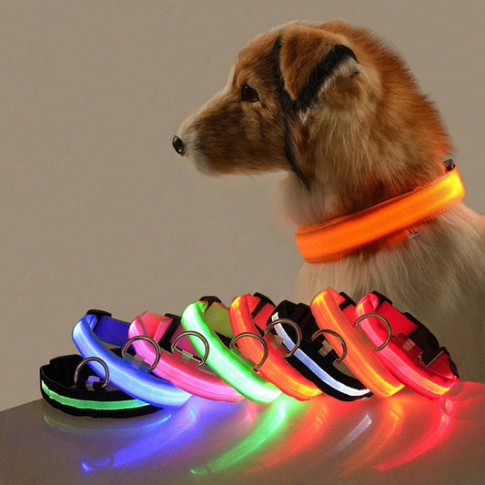 Led Hundehalsband