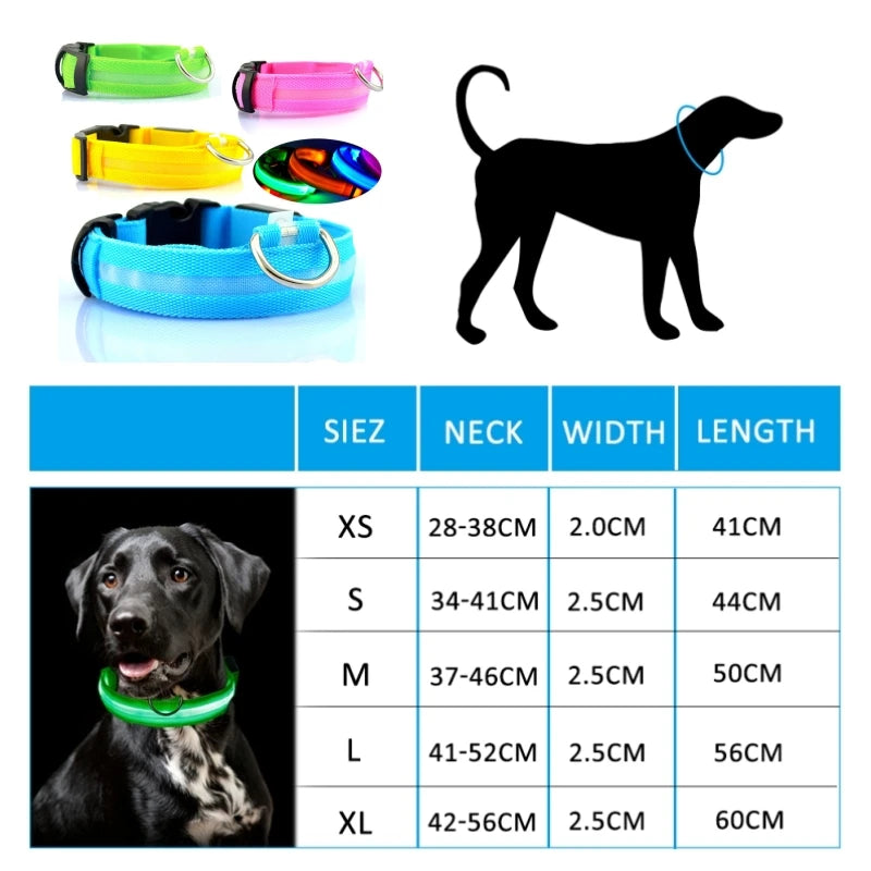 Led Hundehalsband