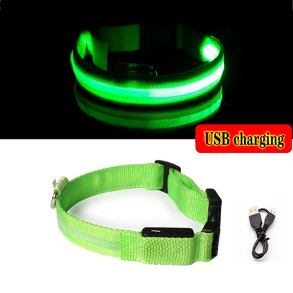 Led Hundehalsband