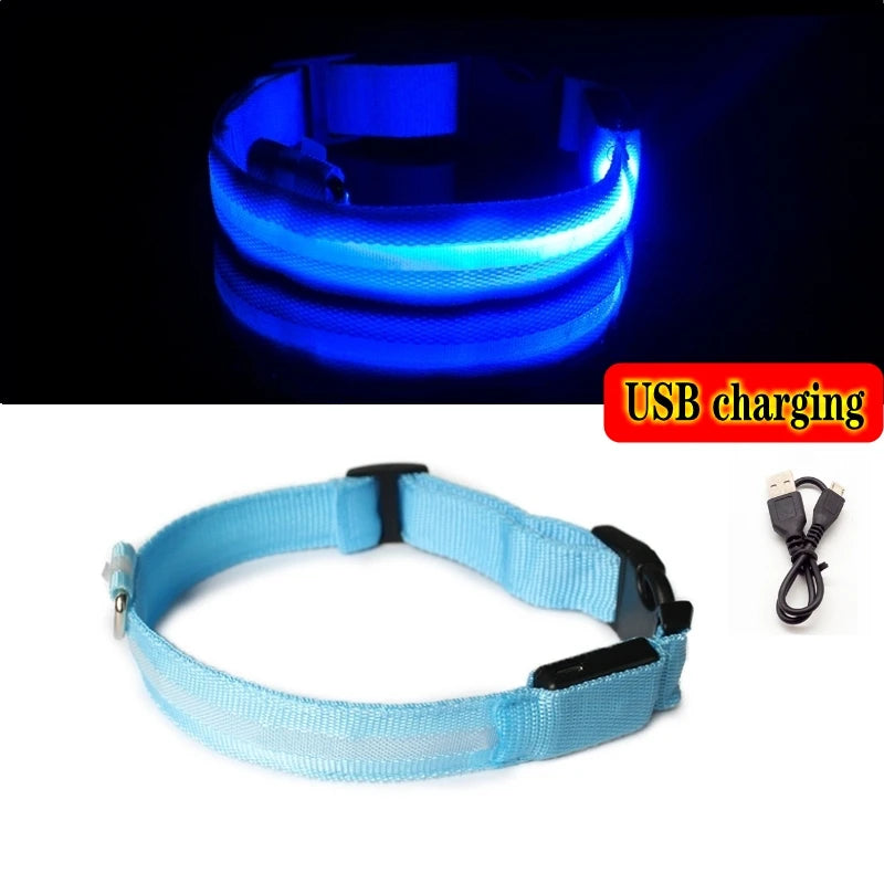 Led Hundehalsband