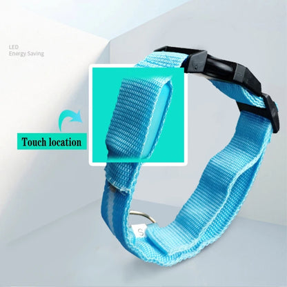 Led Hundehalsband